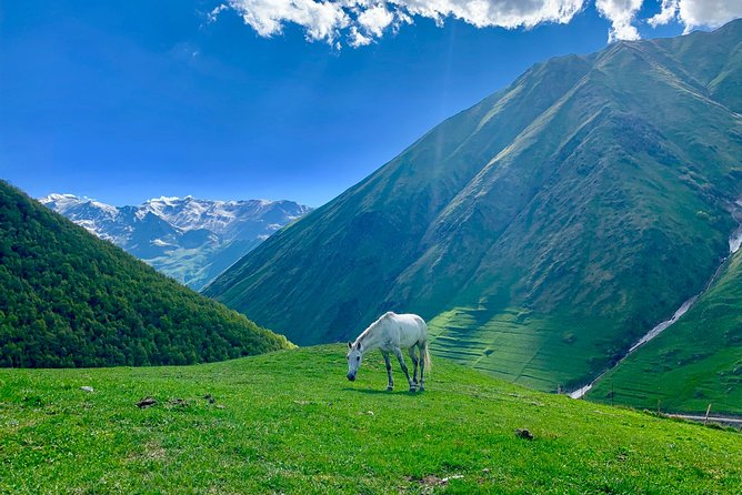 ️Private Full-Day Tour to Mtskheta and Kazbegi(stepantsminda) from Tbilisi - A Full-Day Route With Real Contrast: Monasteries and Mountain Air