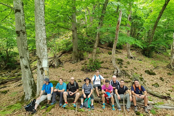 Private Hiking Tour to Machakhela National Park from Batumi - Getting there from Batumi: private, air-conditioned, and convenient