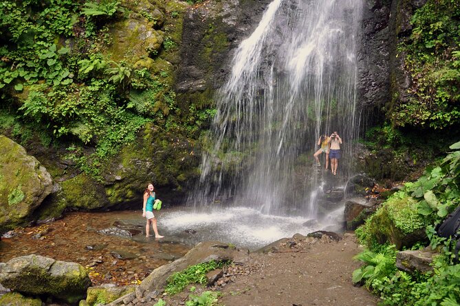 Private Hiking Tour to Mtirala National Park from Batumi - Key highlights that make this tour a smart choice