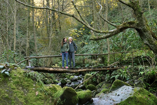 Private Hiking Tour to Mtirala National Park from Batumi - Private pickup from Batumi, then straight into Mtirala’s nature