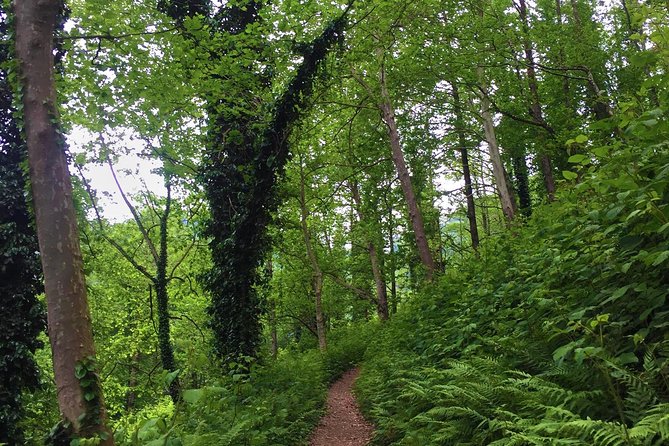 Private Hiking Tour to Mtirala National Park from Batumi - Lake and waterfall time on the chestnut trail