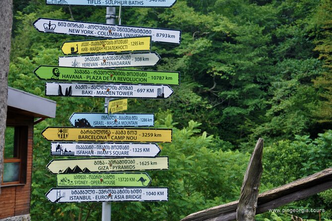 Private Hiking Tour to Mtirala National Park from Batumi - Coffee, tea, and water at the lake break