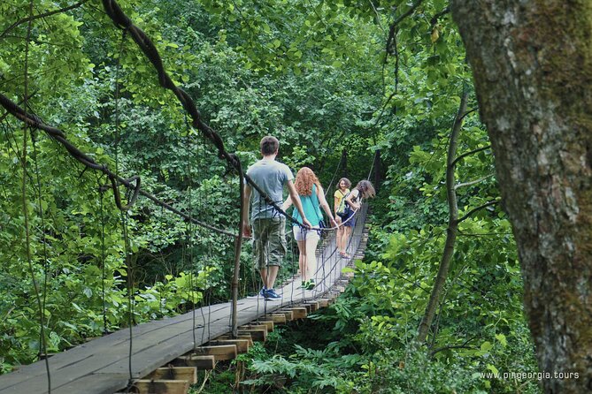 Private Hiking Tour to Mtirala National Park from Batumi - Price and value: $42.14 per person, and where it actually pays off