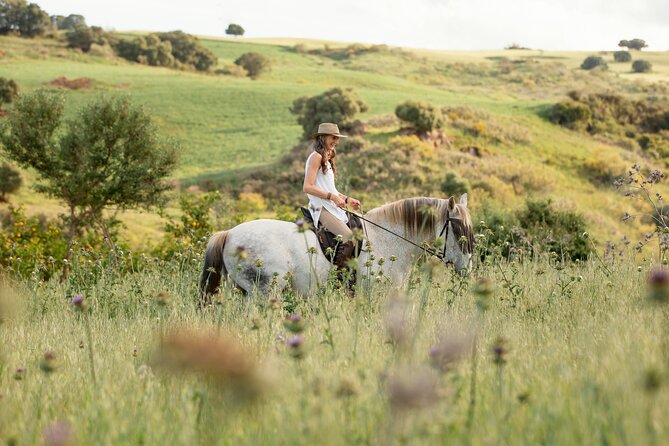 Private Horse Riding Adventure in Tbilisi - A practical way to add real outdoors time to Tbilisi