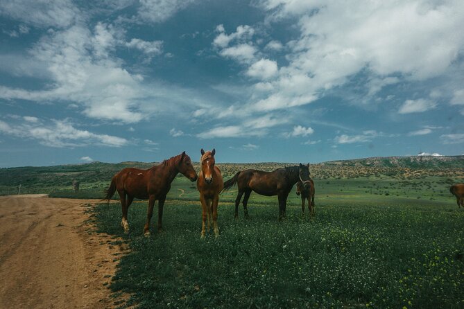 Private Horse Riding Adventure in Tbilisi - The route: paths, views, and sheep-and-cow moments