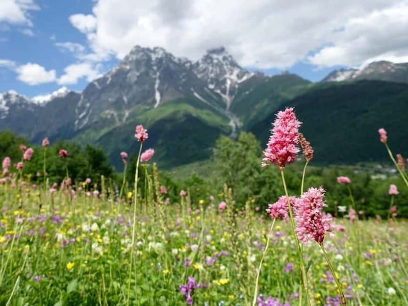Private tour from KUTAISI: SVANETI and MESTIA - Should you book this tour? My call