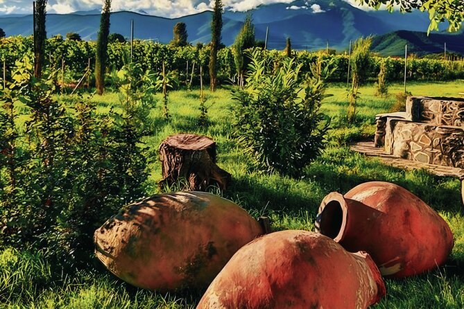 Private Tour From Tbilisi to Kakheti Sighnaghi with Wine Tasting - The feel of this Kakheti day: planned stops, real time walking