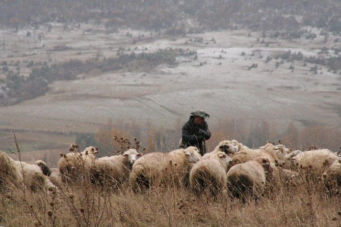 Private Tour to Kazbegi from Tbilisi - Key highlights worth your attention