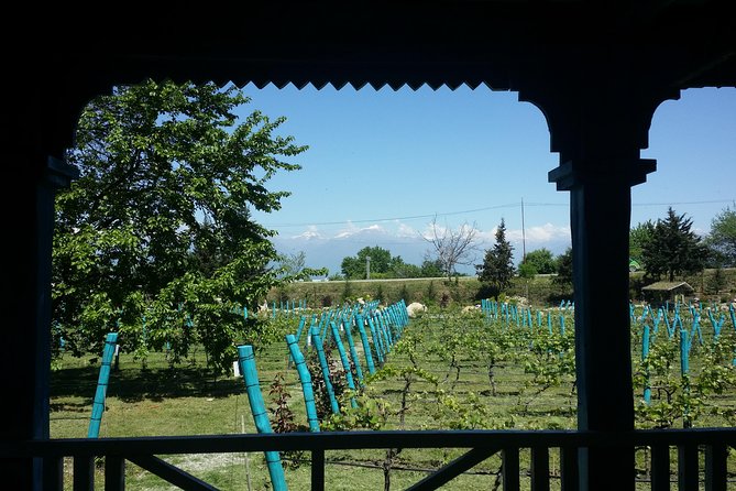 Private Wine Tour to Kakheti from Tbilisi - Pickup, Timing, and Why Private Feels Better Here