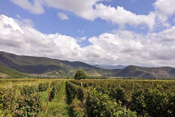 RACHA region with TSKHRAJVARI and wine tasting from Kutaisi - Weather and Pace: How to Make the Day Work for You