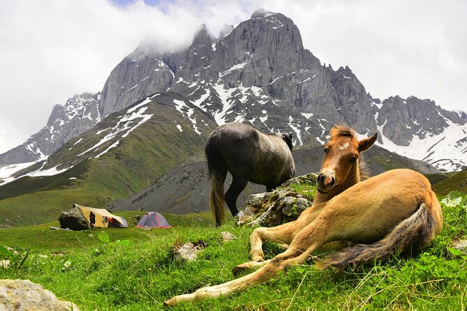 Round Trip Bus Transfer to Juta from Kazbegi - Sno Village Break: Georgian Easter Island in 10 Minutes
