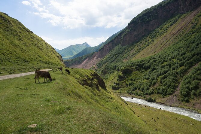 Round-Trip Bus Transfer to Truso Valley from Kazbegi - Group Size And Solo-Friendly Energy