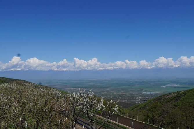 Secrets of Kakheti: Wine & Home-Cooked Lunch - How the day runs from 9:00 am to your return in Tbilisi