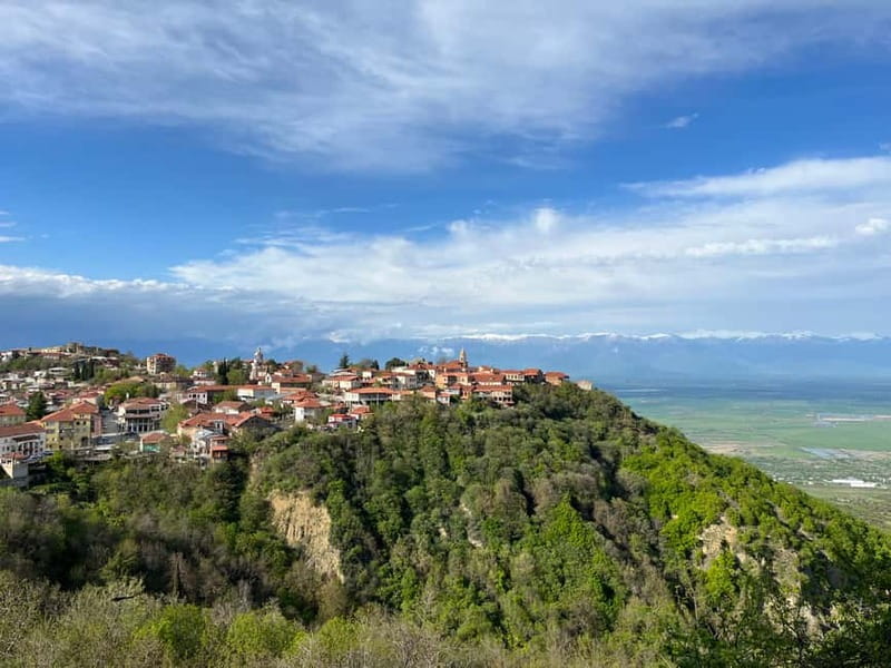 Sighnaghi Day Trip with wine tasting and Bodbe Monastery - Patardzeuli Wine Tasting: What the Factory Stop Really Means