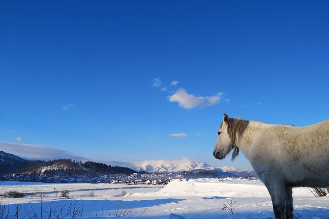 Ski & Snow Tour to Bakuriani from Kutaisi with Borjomi Stop - Cost reality check: great value, plus what you may add