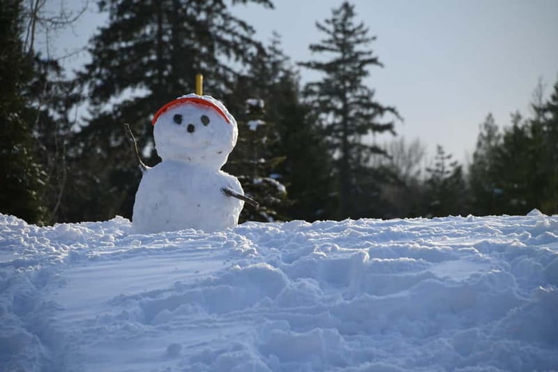 Ski & Snow Tour to Bakuriani from Kutaisi with Borjomi Stop - Who this tour suits best, and who might want a different plan