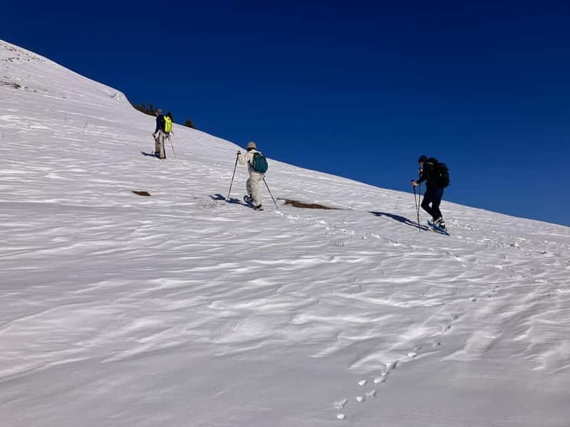 Snowshoeing in Bakuriani, Caucasus Mountains - Key highlights you should care about