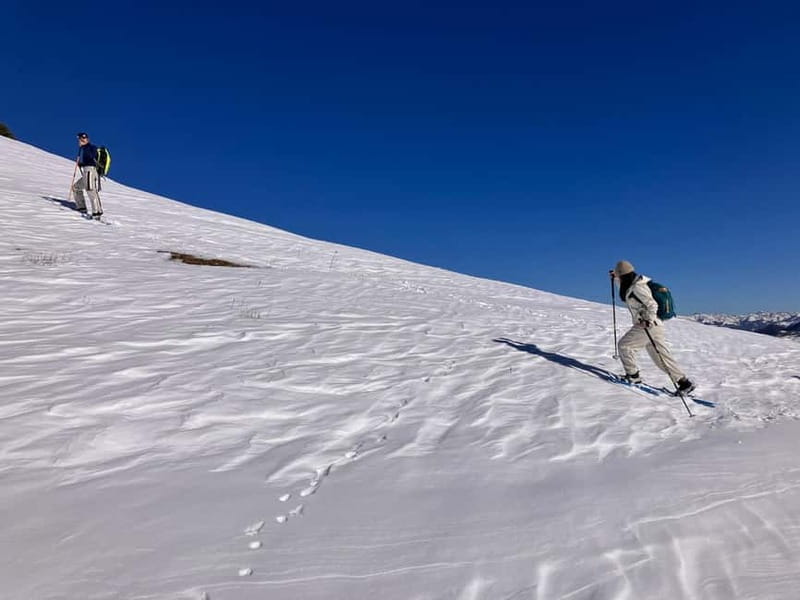 Snowshoeing in Bakuriani, Caucasus Mountains - Why Bakuriani Snowshoeing Feels Like a Nature-Friendly Trail Lesson