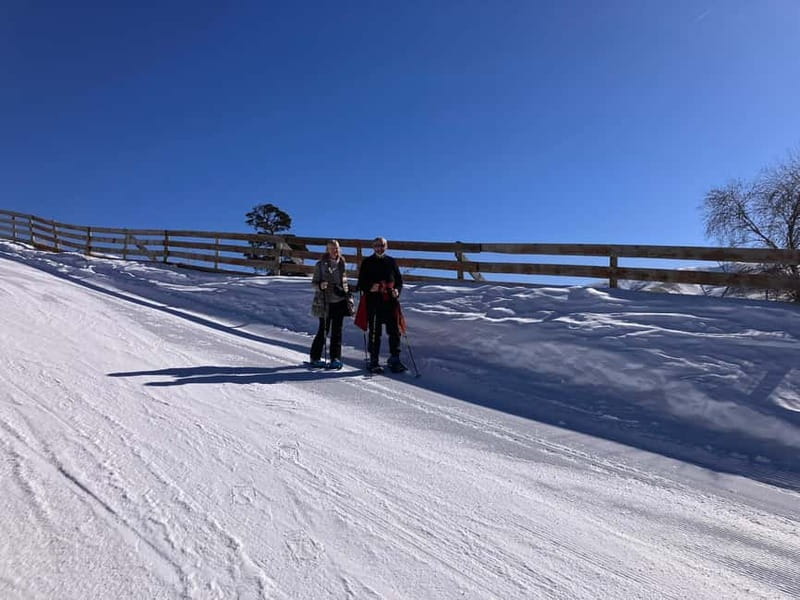 Snowshoeing in Bakuriani, Caucasus Mountains - The Mountains Section: Sightseeing Snowshoeing with Real Safety Care