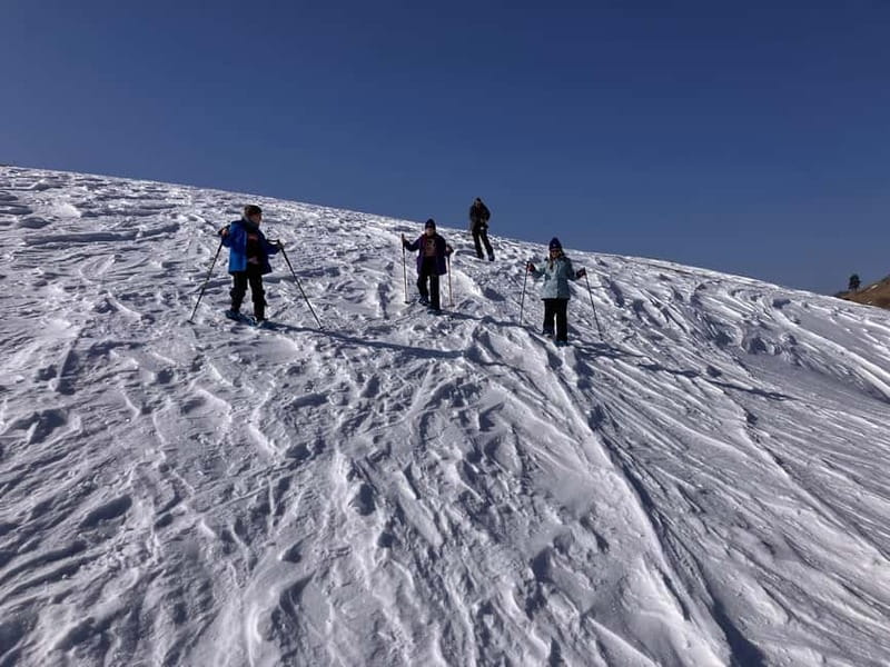 Snowshoeing in Bakuriani, Caucasus Mountains - Greek Village Coffee Break: A Warm Reset You Will Actually Notice