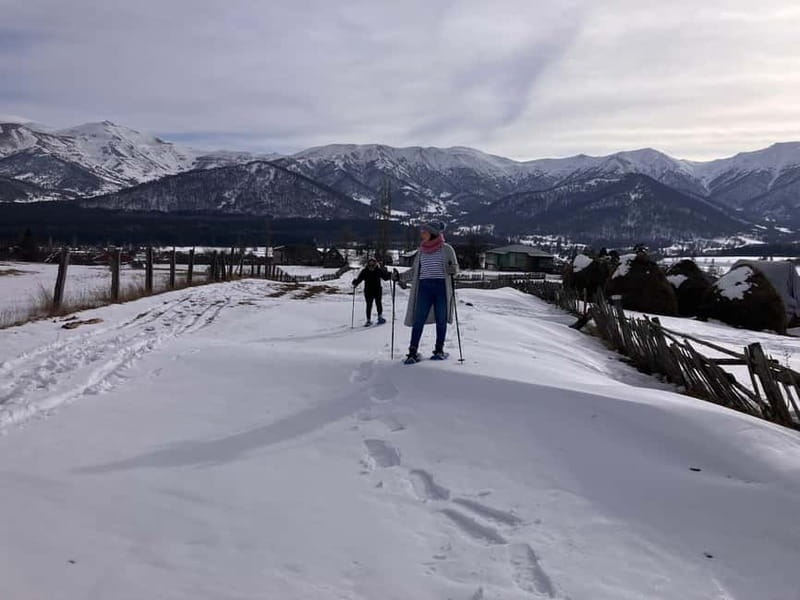 Snowshoeing in Bakuriani, Caucasus Mountains - Fish Farm Grilling: Hands-On Food That Breaks the Usual Pattern