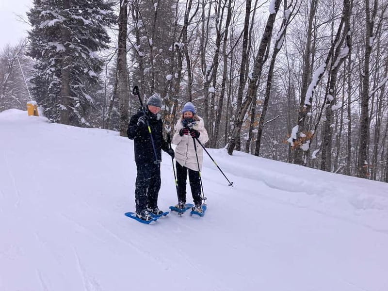 Snowshoeing in Bakuriani, Caucasus Mountains - Snowshoe Set, Avalanche Equipment, and the Pace Control That Matters