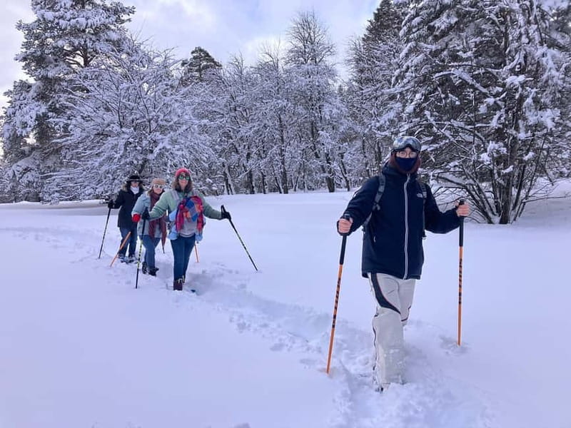 Snowshoeing in Bakuriani, Caucasus Mountains - The 4.5 Hour Flow, Pickup Van, and Where the Time Goes