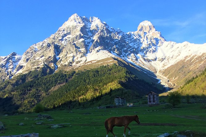 Svaneti Mountain Villages 4x4 Safari, tour from Kutaisi - Key Highlights You Should Actually Care About