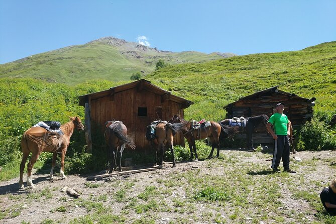 Svaneti Mountain Villages 4x4 Safari, tour from Kutaisi - What About Optional Add-Ons Like Horse Riding?