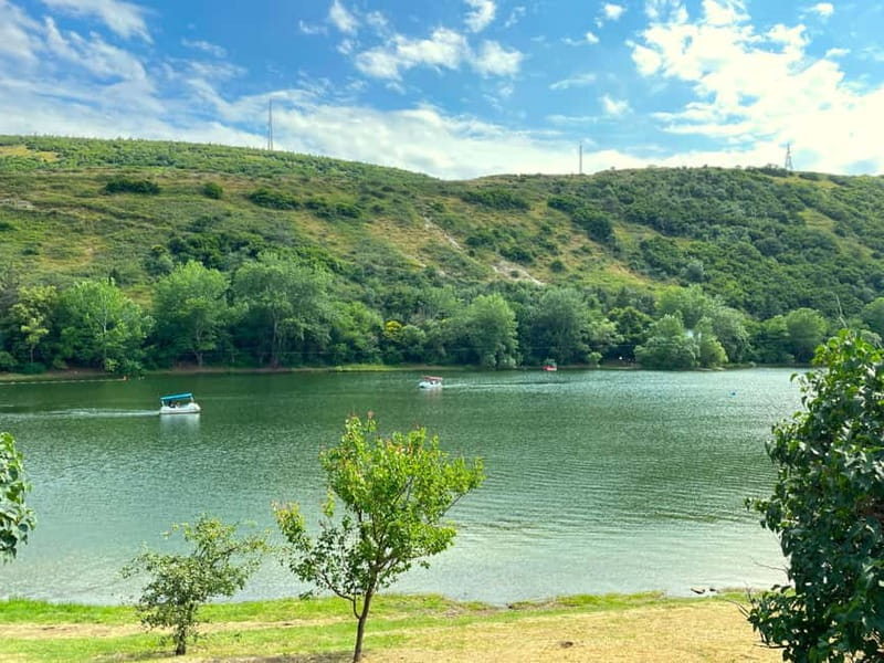 Tbilisi 2 Parks: Turtle Lake & Dedaena Park with Flea Market - Key highlights worth marking on your mental map