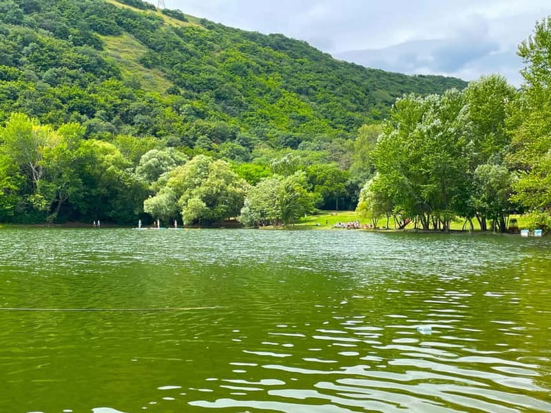 Tbilisi 2 Parks: Turtle Lake & Dedaena Park with Flea Market - Who this tour fits best, and who should skip it