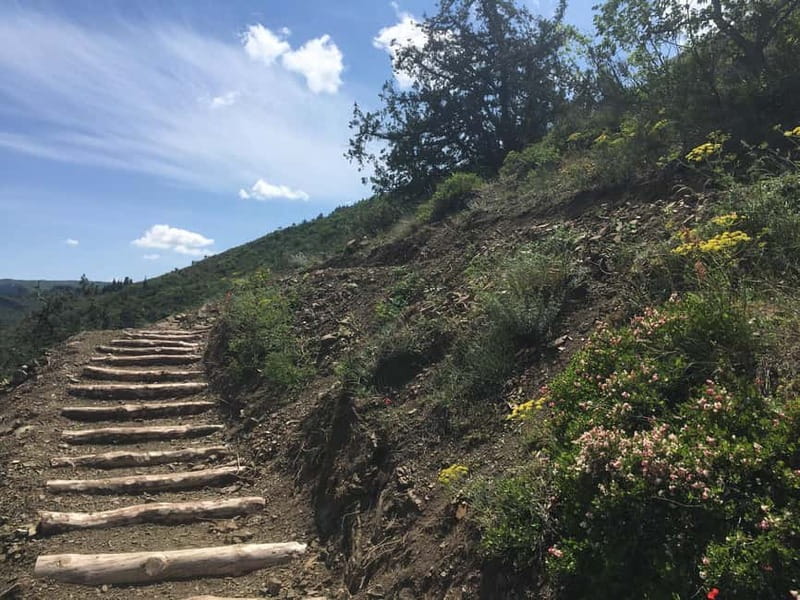 Tbilisi: Delightful Trail over the City - Forest walks that make the hike feel doable