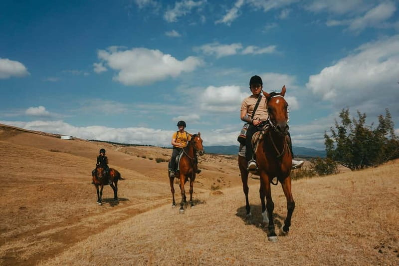 Tbilisi: Horseback Riding Experience - Key Highlights You Should Know Before You Go