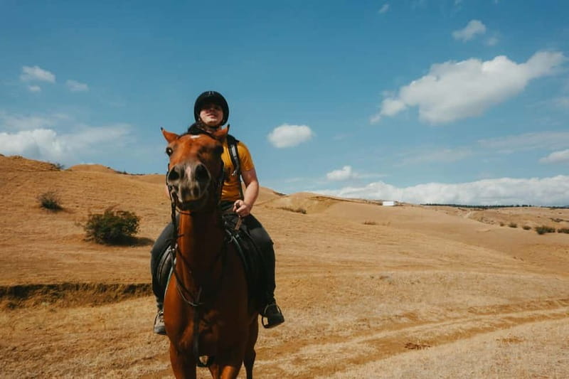 Tbilisi: Horseback Riding Experience - A 1-Hour Horse Intro That Feels Like a Real Local Break