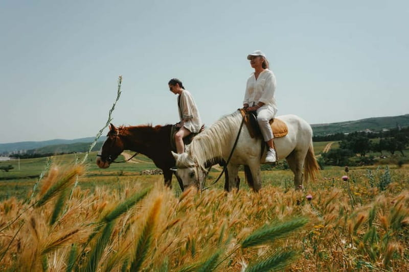 Tbilisi: Horseback Riding Experience - Timing Confirmation Matters More Than You Think