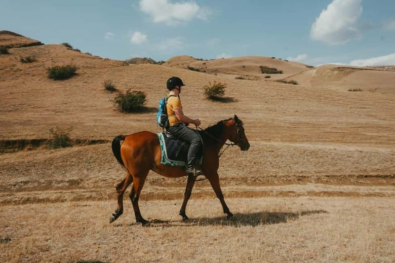Tbilisi: Horseback Riding Experience - Meeting the Instructor: English and Russian Help