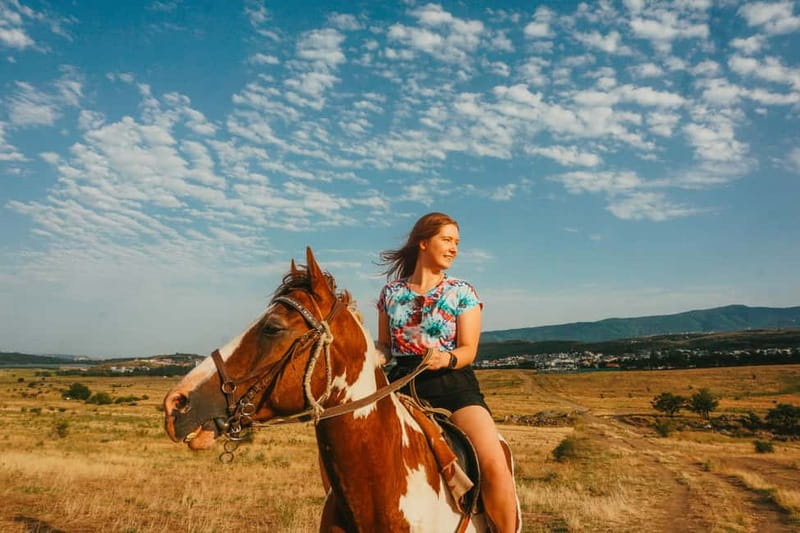 Tbilisi: Horseback Riding Experience - Farm Animal Encounters That Make the Ride Feel Playful