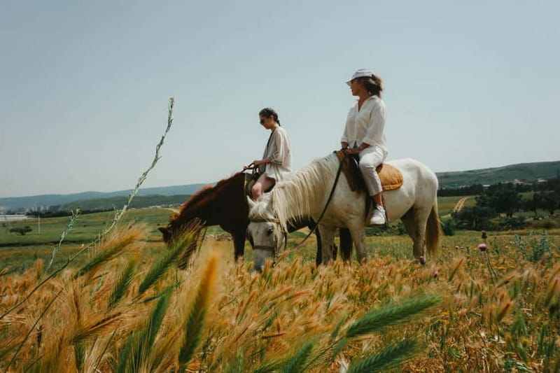 Tbilisi: Horseback Riding Experience - Where Kvemo Kartli Fits Into Your Tbilisi Day Plan