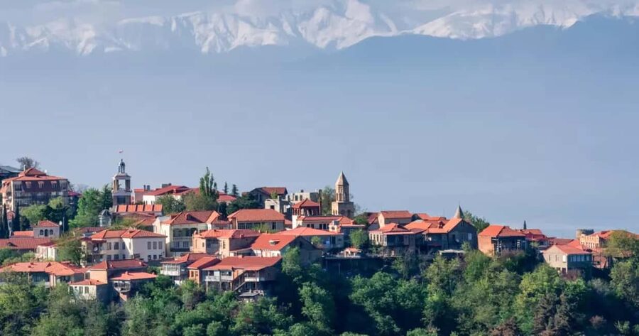 TBILISI :Kakheti Sighnaghi Bodbe Telavi, 7 Free Wine testing - The Zipline Option in Kakheti: Worth It if You Want an Active Break