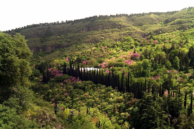 Tbilisi & Mtskheta city tour - Cable car down to European Square, then Abanot Ubani on foot