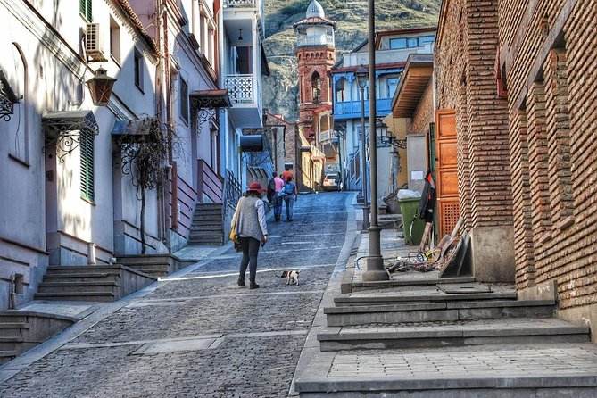 Tbilisi Private Arrival Airport Transfer - If you’re traveling with kids or special needs