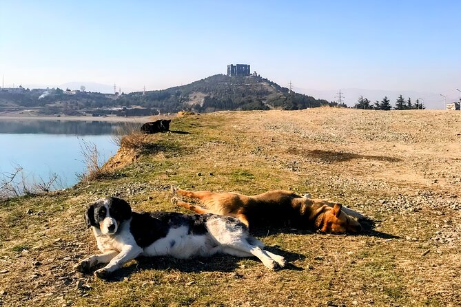 Tbilisi: Sabaduri Forest, Georgian Stonehenge & Bear Sanctuary - Chronicles of Georgia, the Stonehenge-style monument: sculpture you can frame like a movie scene