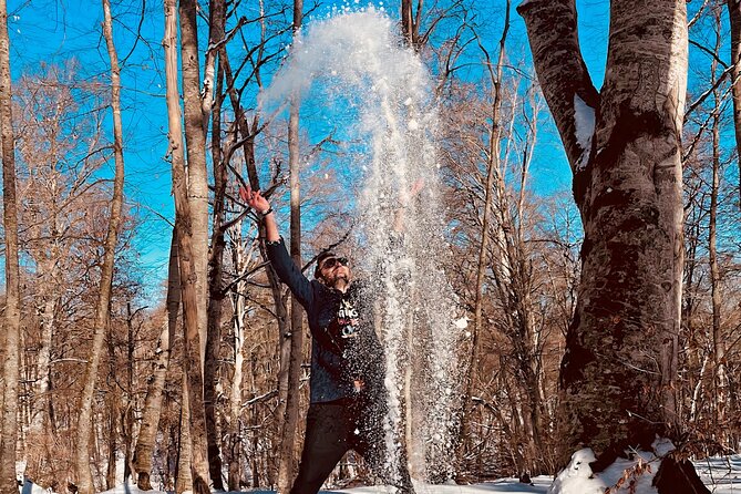 Tbilisi: Sabaduri Forest, Georgian Stonehenge & Bear Sanctuary - Sabaduri Forest: the snow-tunnel walk, and how to enjoy it in any weather