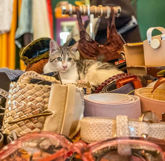 Tbilisi: Vintage Stores and Cafes Walking Tour with Coffee - What to buy in 3 hours, and how to avoid decision regret