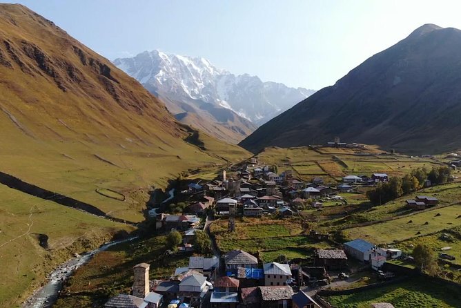 The Best of Georgia 7 Days Private Jeep Tour from Tbilisi - Day 4 Batumi Botanical Gardens and the Enguri reservoir: a calmer middle of the week