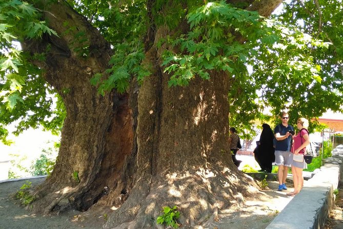 Tour to Kakheti. Sighnaghi -Bodbe Monastery -Tsinandali -Telavi -Winery -Gombori - Tsinandali Palace estate: Prince Chavchavadze, gardens, and museum tickets