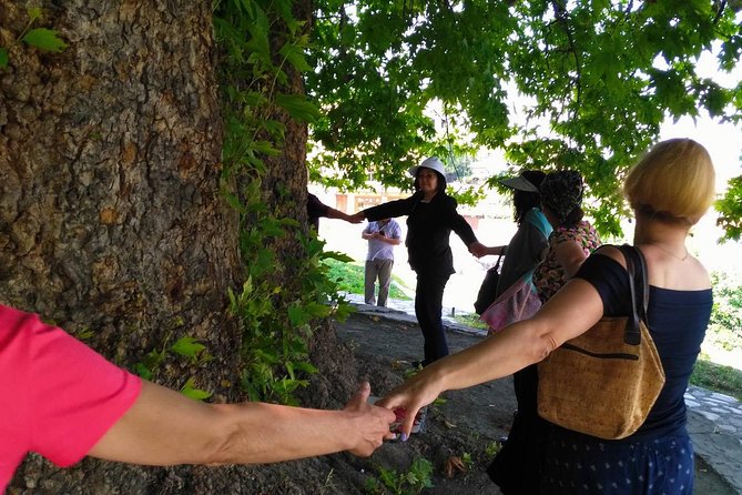 Tour to Kakheti. Sighnaghi -Bodbe Monastery -Tsinandali -Telavi -Winery -Gombori - Telavi and Georgian home food: bread, cheese, and learning the culture