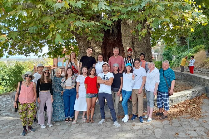 Whole day Wine Tour to Kakheti from Tbilisi - Bodbe Monastery of St. Nino: gardens, churches, and a calm that resets your day