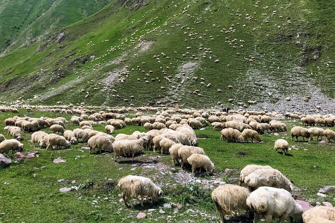 Wild Georgia 4WD PACK Adventure through Kakheti and Kazbegi 2in1 - Stepantsminda, Gergeti Trinity Church, and Ananuri fortress: the day’s iconic hits